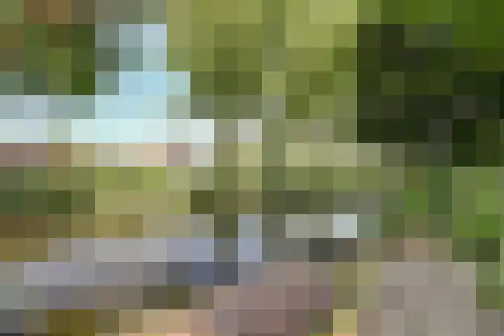 Fuut 17 Broek op Langedijk thumbnail 34