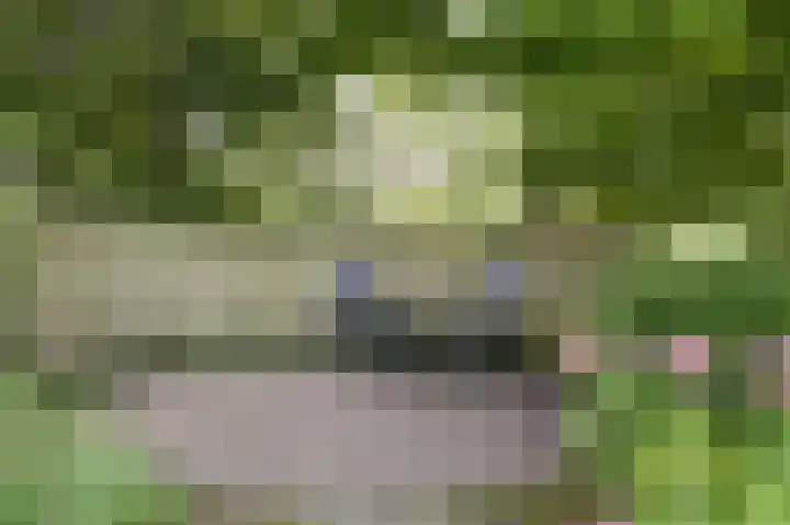 Fuut 17 Broek op Langedijk thumbnail 35