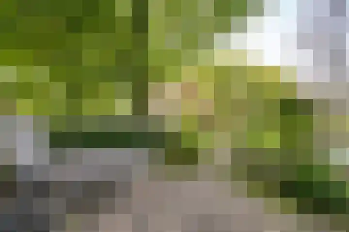Fuut 17 Broek op Langedijk thumbnail 36
