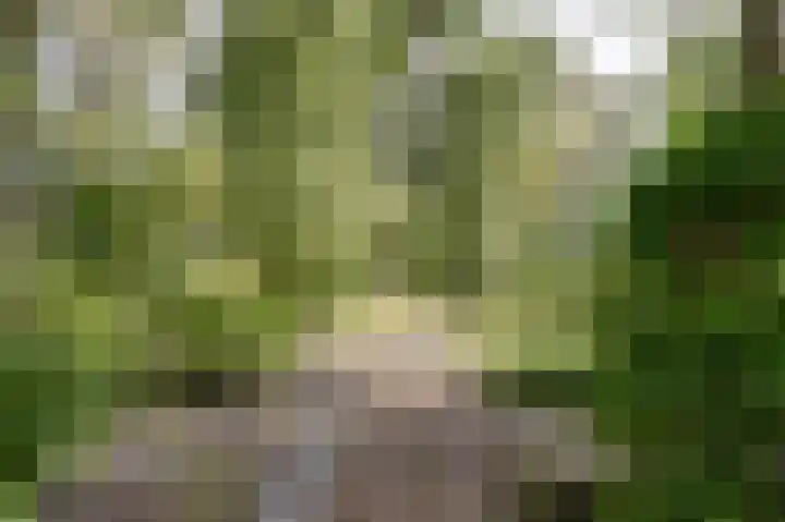 Fuut 17 Broek op Langedijk thumbnail 37