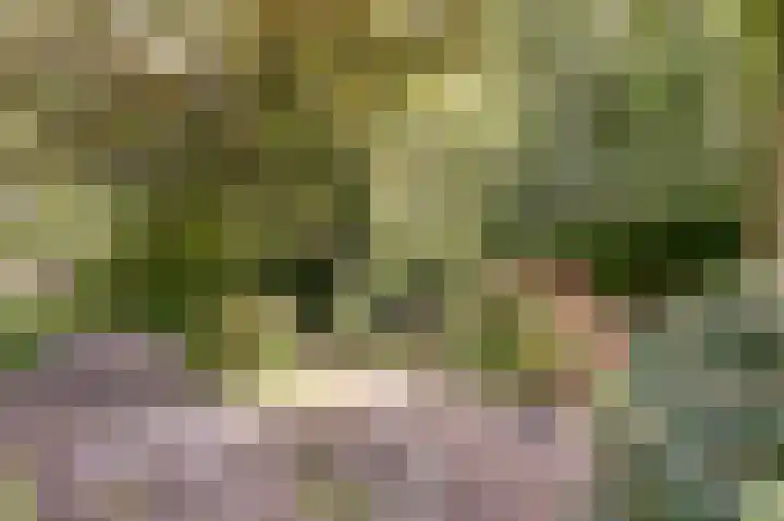 Fuut 17 Broek op Langedijk thumbnail 38