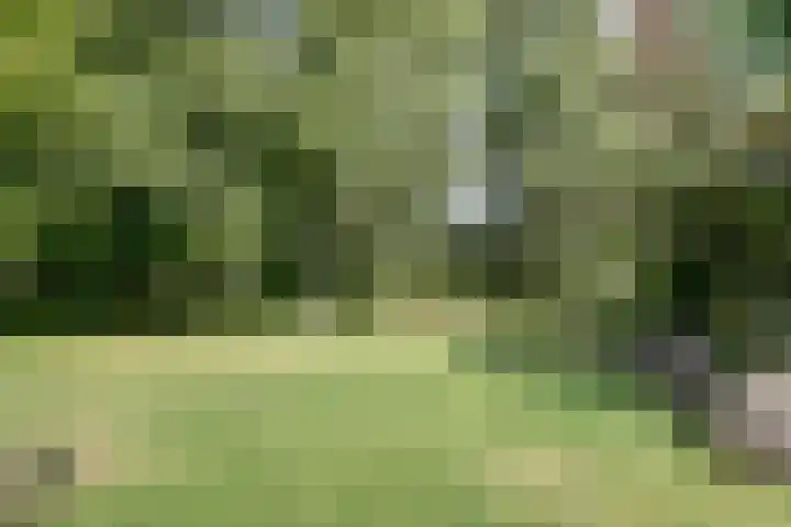 Fuut 17 Broek op Langedijk thumbnail 39