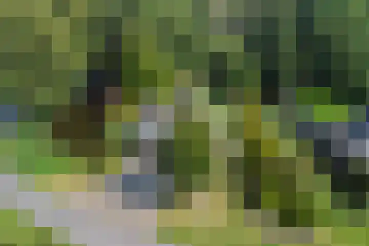 Fuut 17 Broek op Langedijk thumbnail 4