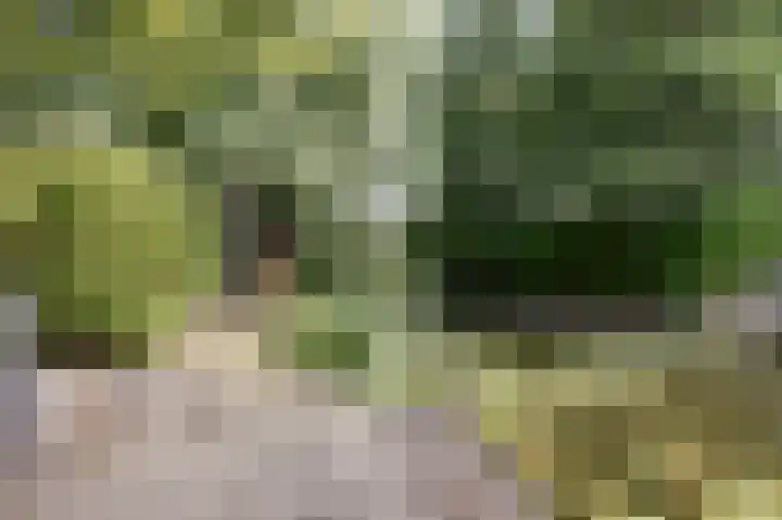 Fuut 17 Broek op Langedijk thumbnail 40