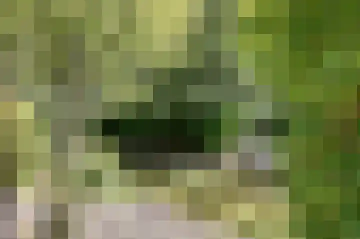 Fuut 17 Broek op Langedijk thumbnail 41