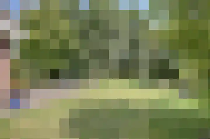 Fuut 17 Broek op Langedijk thumbnail 42