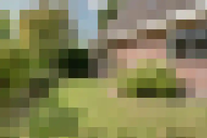 Fuut 17 Broek op Langedijk thumbnail 43