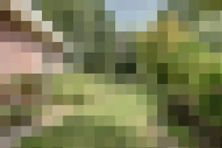 Fuut 17 Broek op Langedijk thumbnail 44