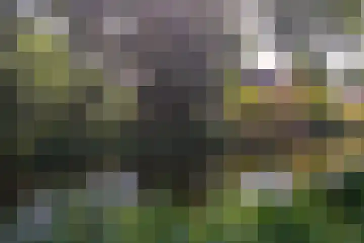 Fuut 17 Broek op Langedijk thumbnail 48