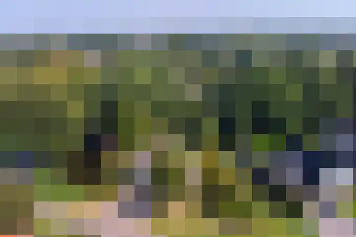 Fuut 17 Broek op Langedijk thumbnail 49