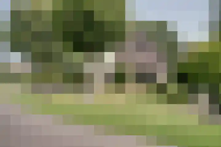 Fuut 17 Broek op Langedijk thumbnail 5