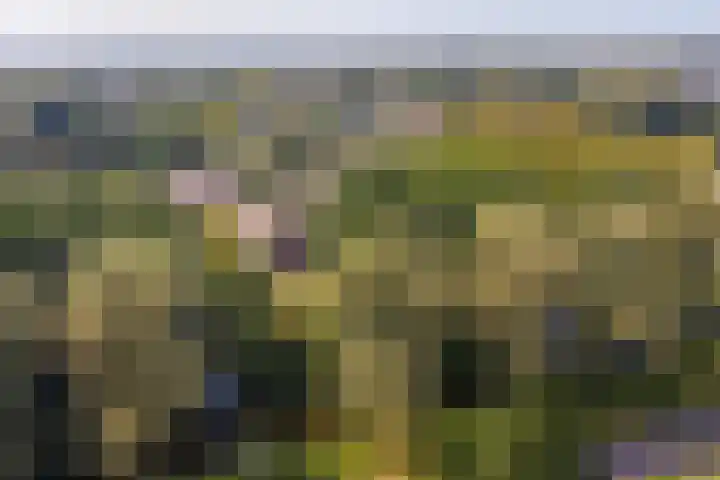 Fuut 17 Broek op Langedijk thumbnail 50