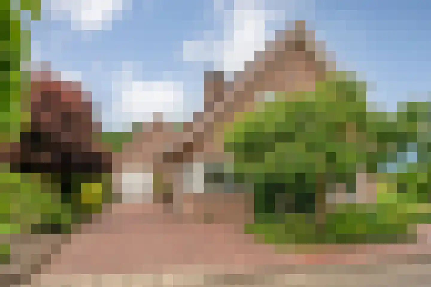 Fuut 17 Ommen thumbnail 10