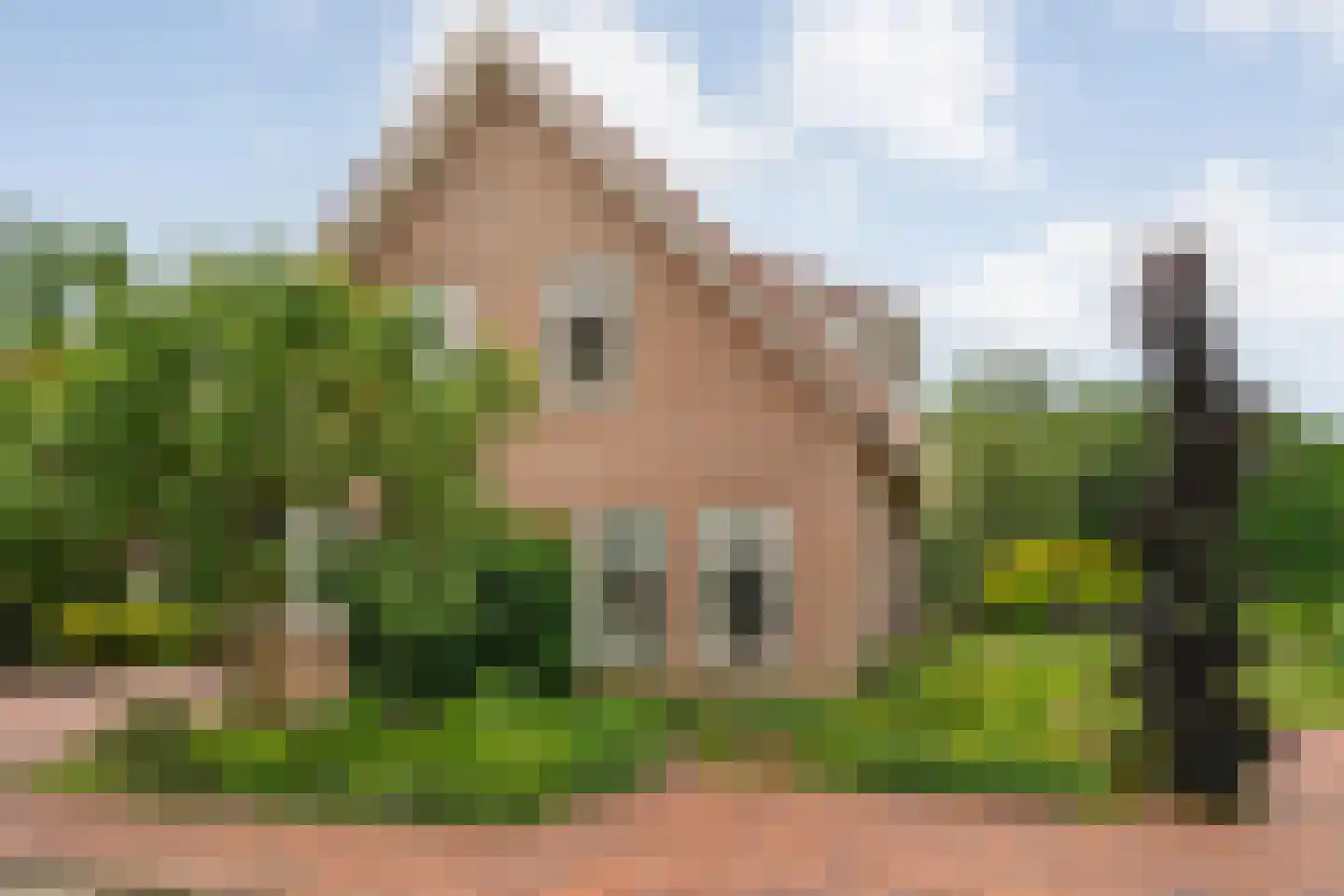 Fuut 17 Ommen thumbnail 11