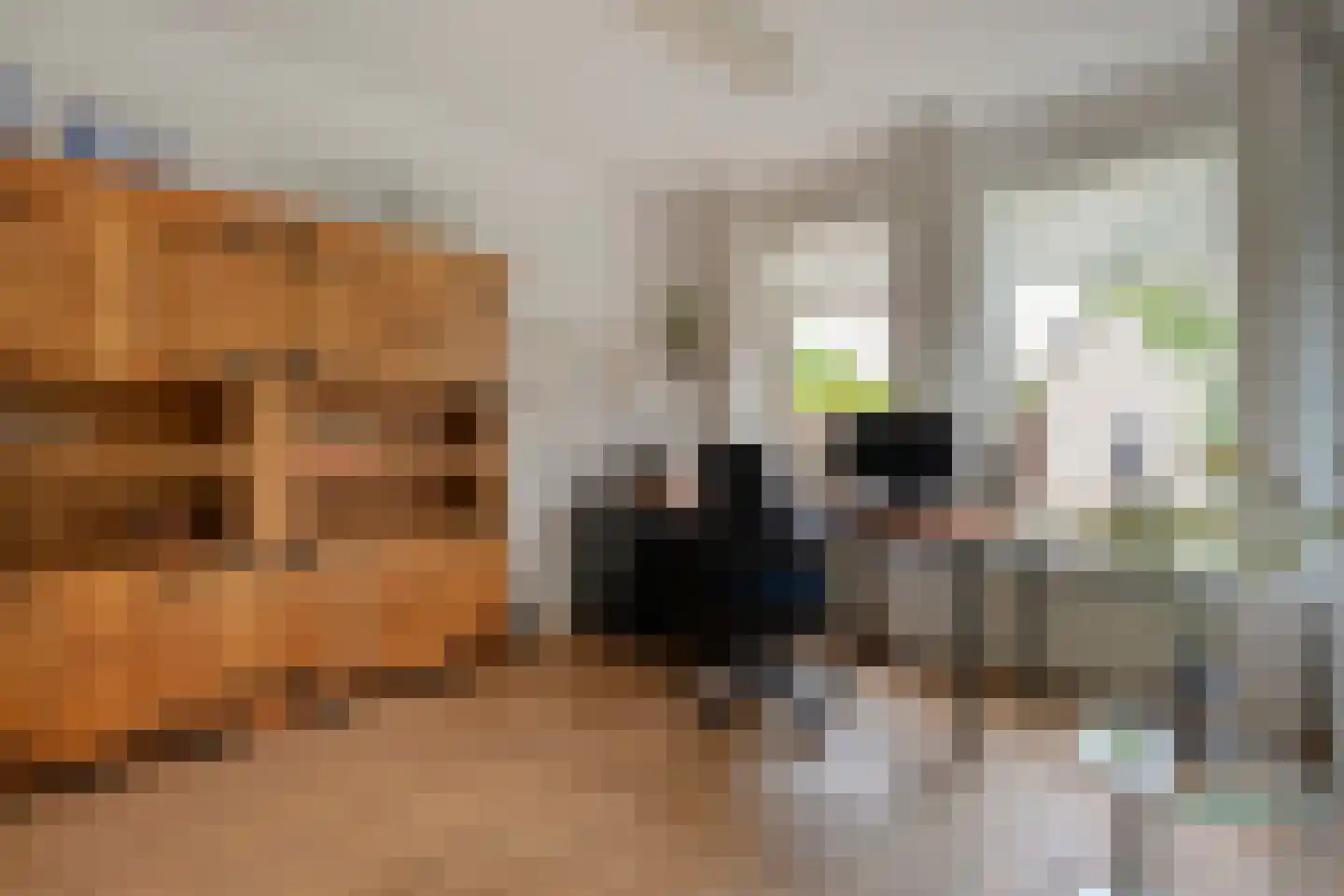 Fuut 17 Ommen thumbnail 19