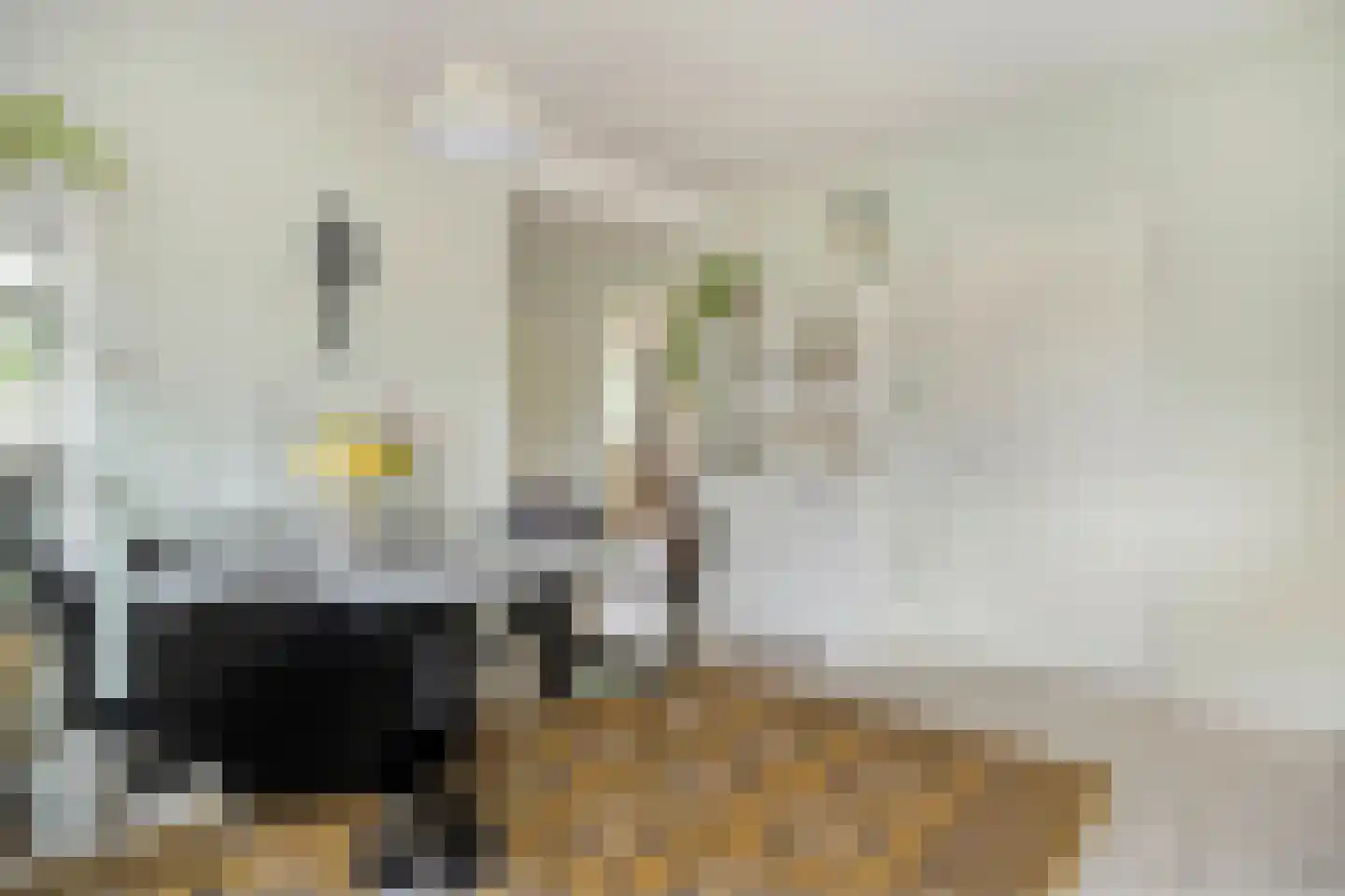 Fuut 17 Ommen thumbnail 23