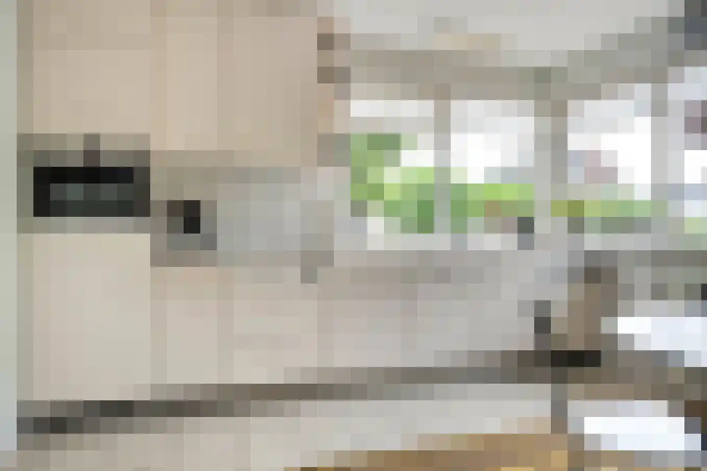 Fuut 17 Ommen thumbnail 26