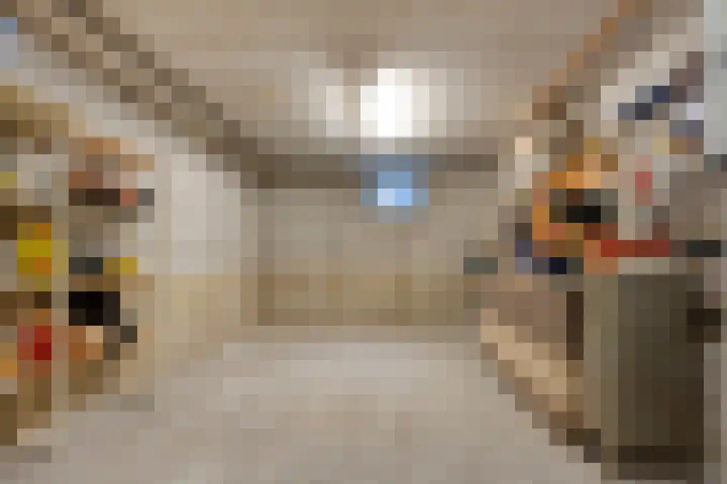 Fuut 17 Ommen thumbnail 34
