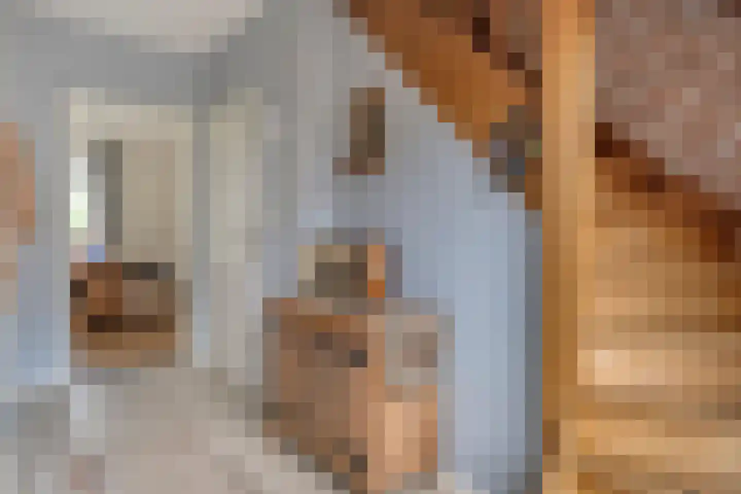 Fuut 17 Ommen thumbnail 36