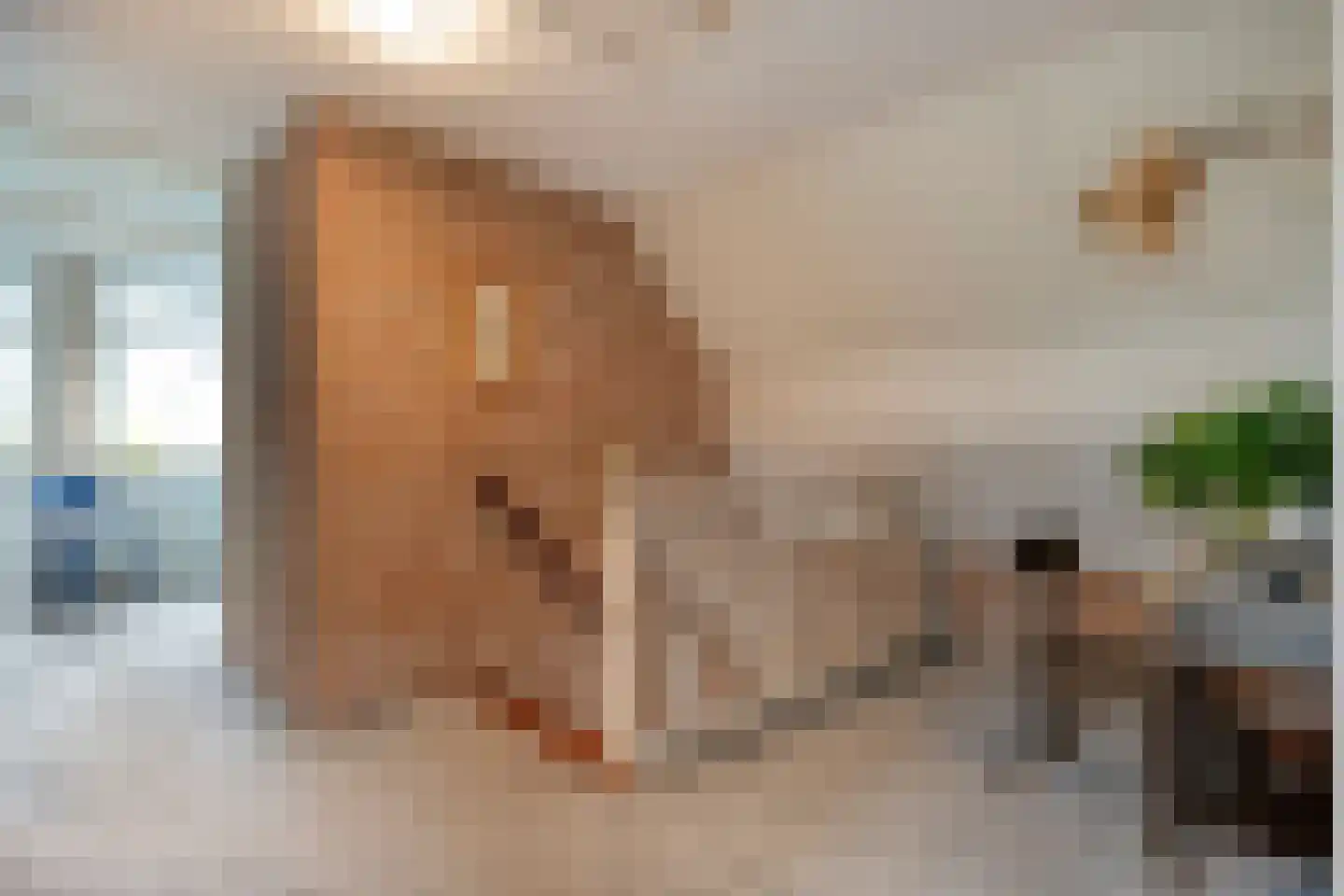 Fuut 17 Ommen thumbnail 37