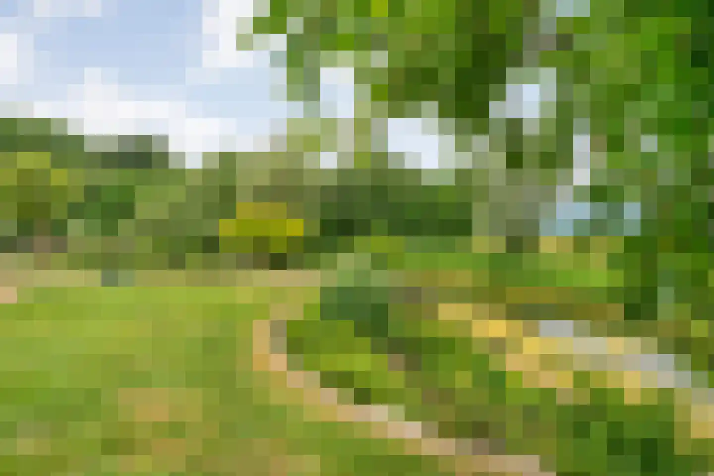 Fuut 17 Ommen thumbnail 4