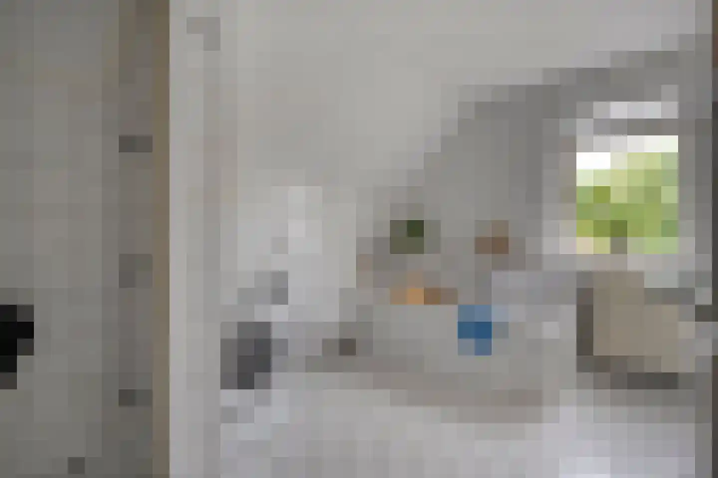 Fuut 17 Ommen thumbnail 48
