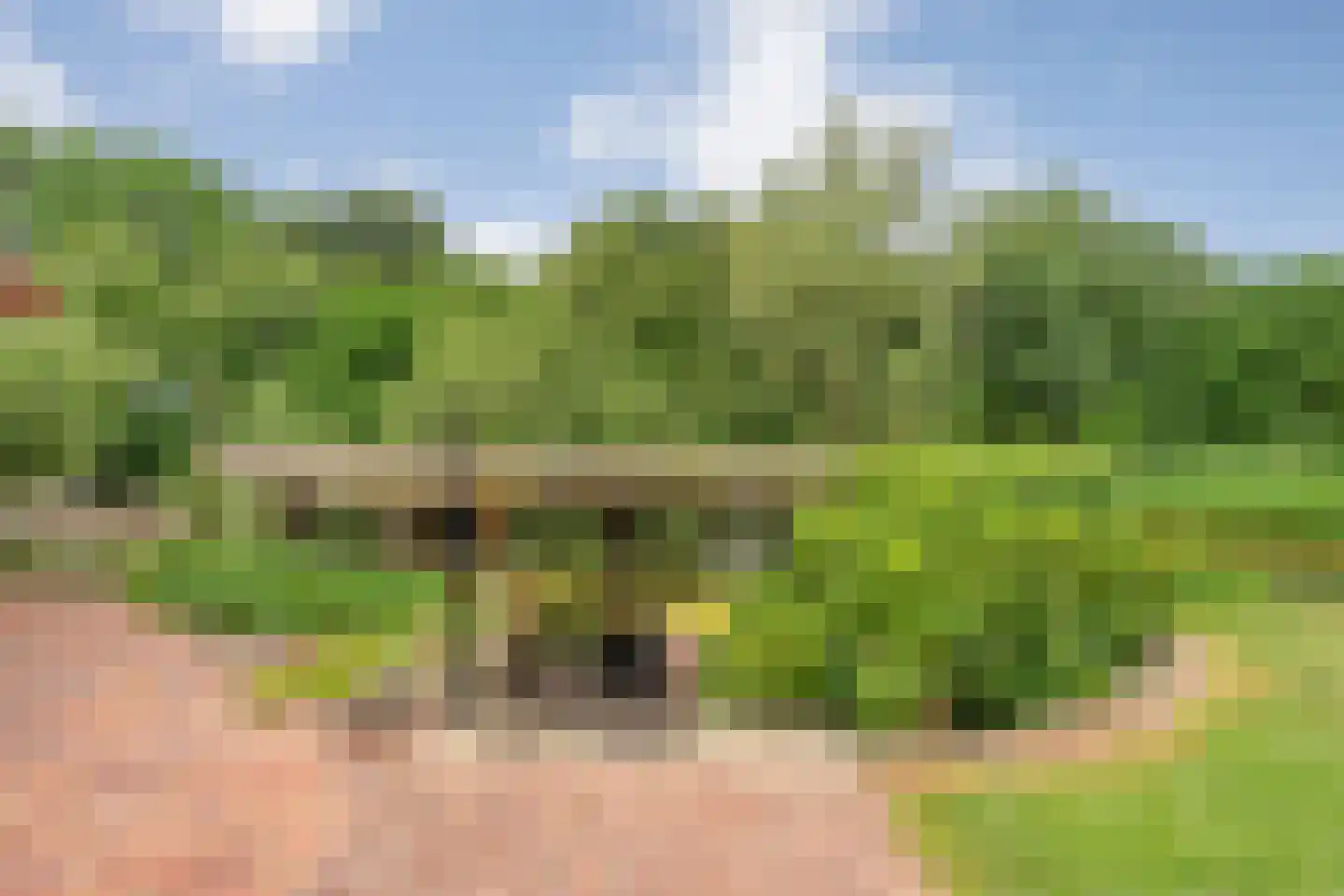 Fuut 17 Ommen thumbnail 5