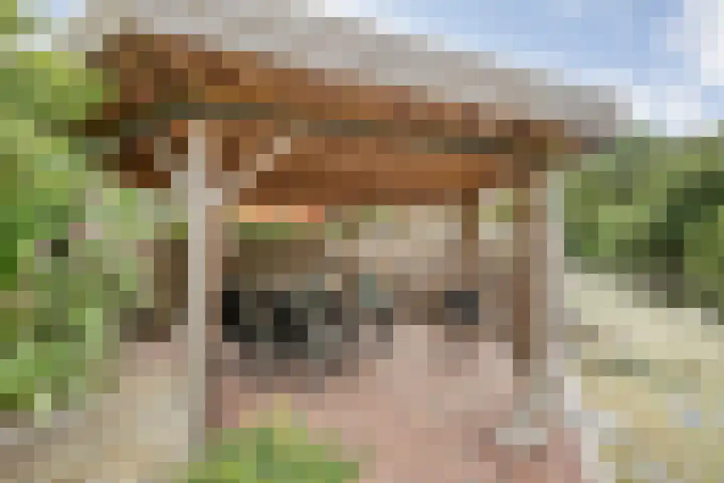 Fuut 17 Ommen thumbnail 55
