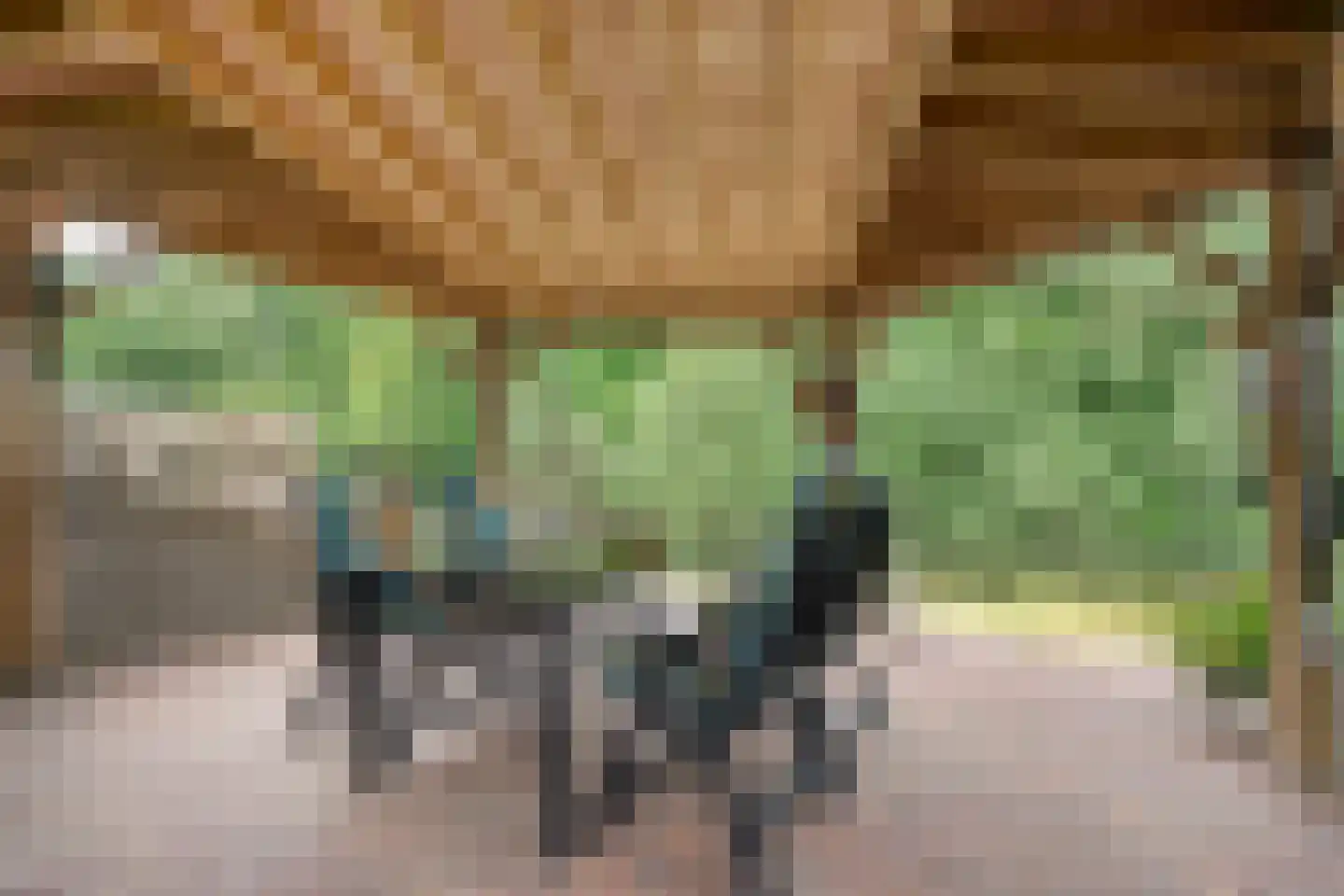 Fuut 17 Ommen thumbnail 57
