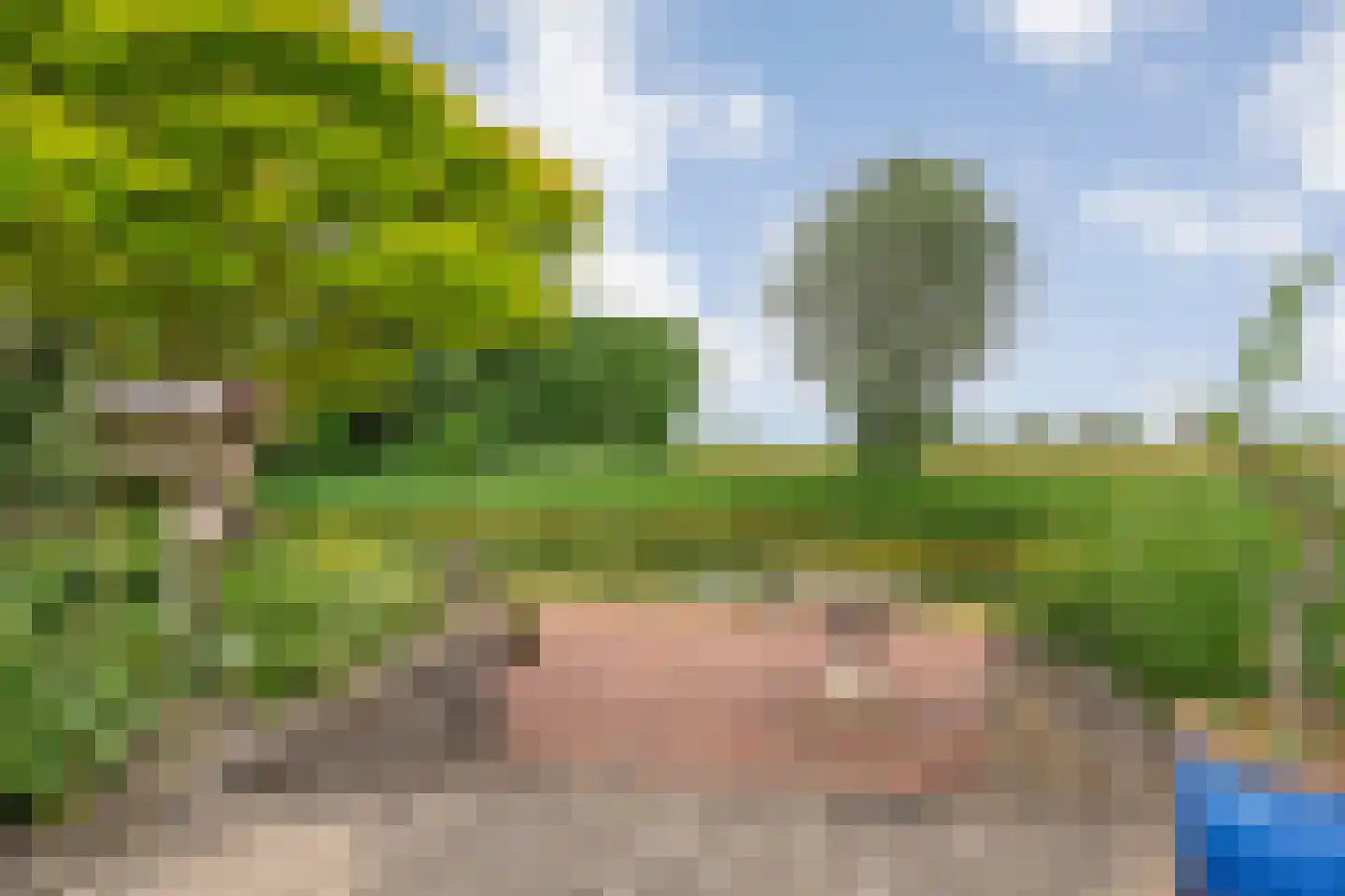 Fuut 17 Ommen thumbnail 6