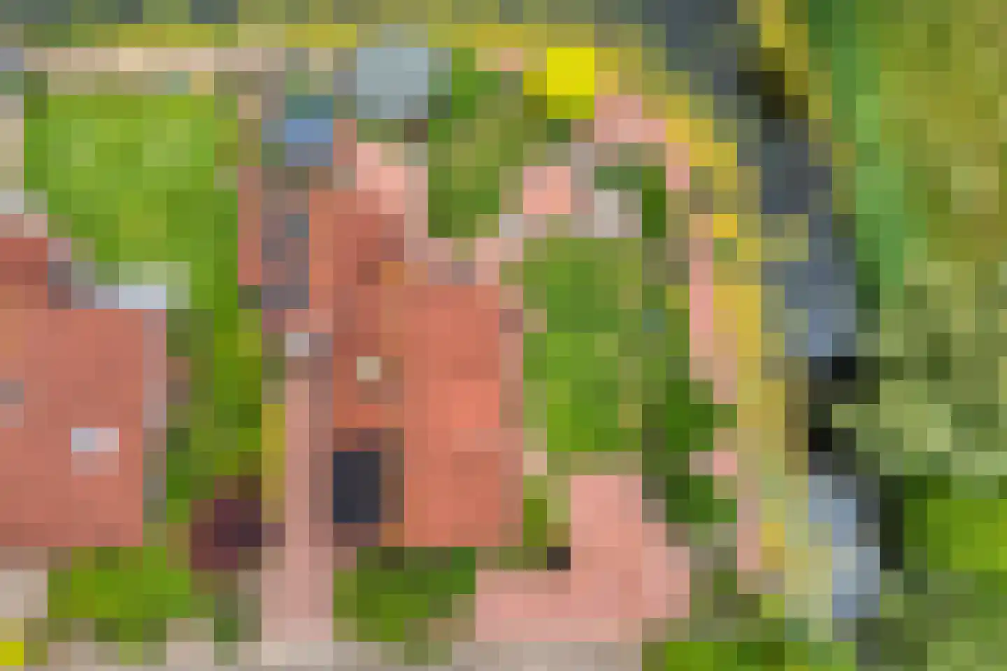 Fuut 17 Ommen thumbnail 60