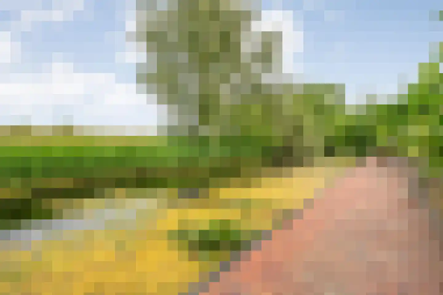 Fuut 17 Ommen thumbnail 61