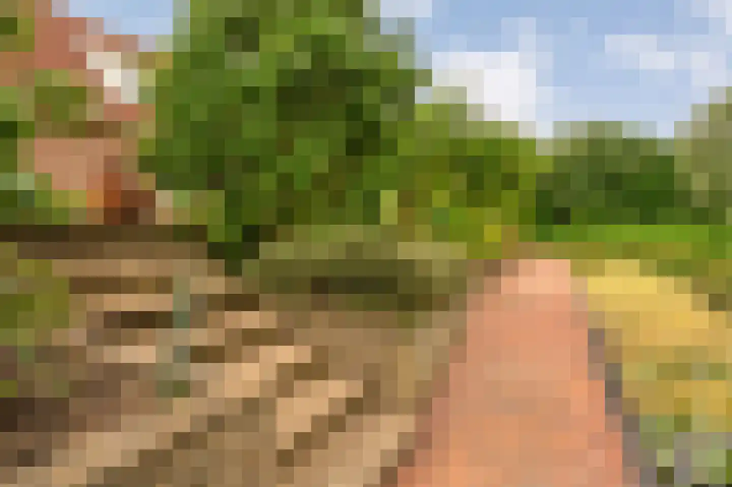 Fuut 17 Ommen thumbnail 62