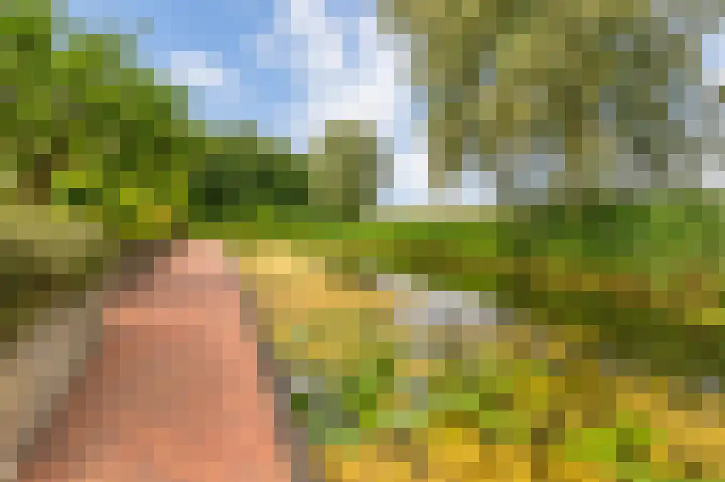 Fuut 17 Ommen thumbnail 63