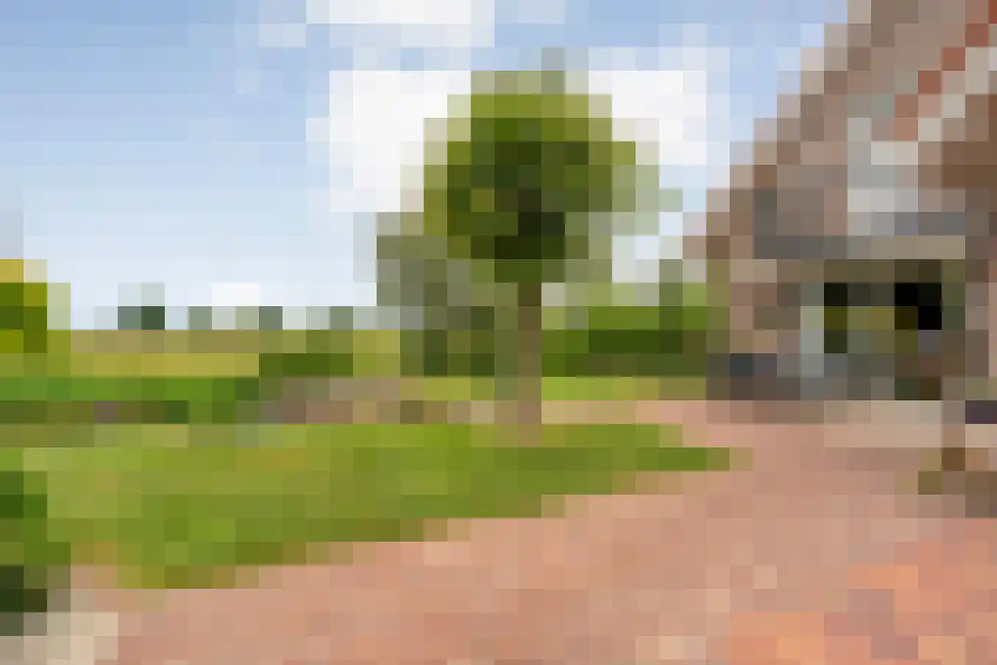 Fuut 17 Ommen thumbnail 66