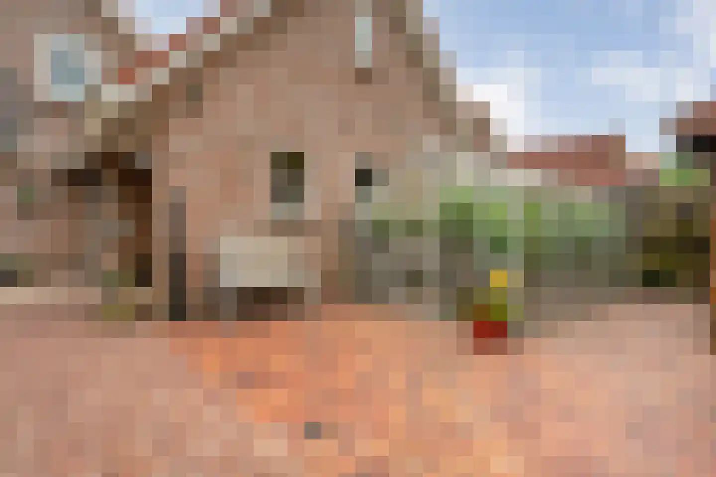Fuut 17 Ommen thumbnail 67