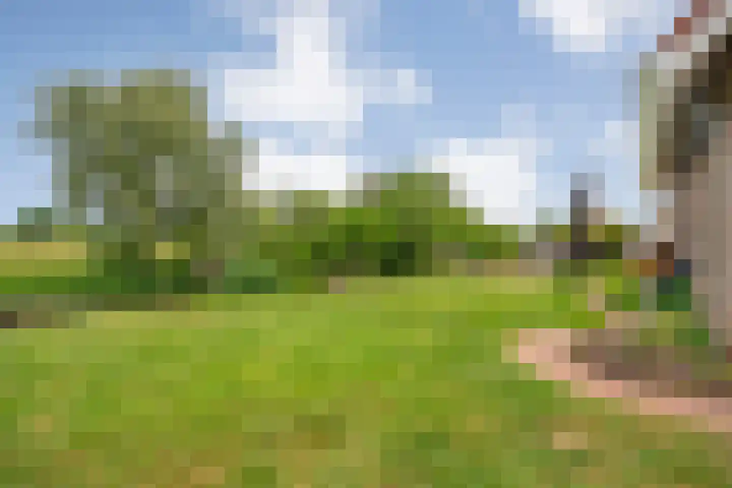 Fuut 17 Ommen thumbnail 68