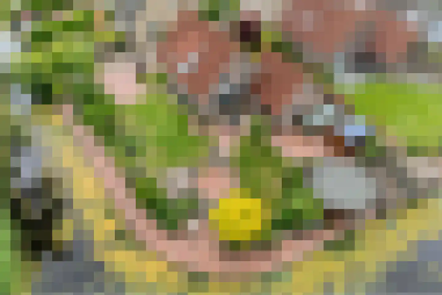 Fuut 17 Ommen thumbnail 69