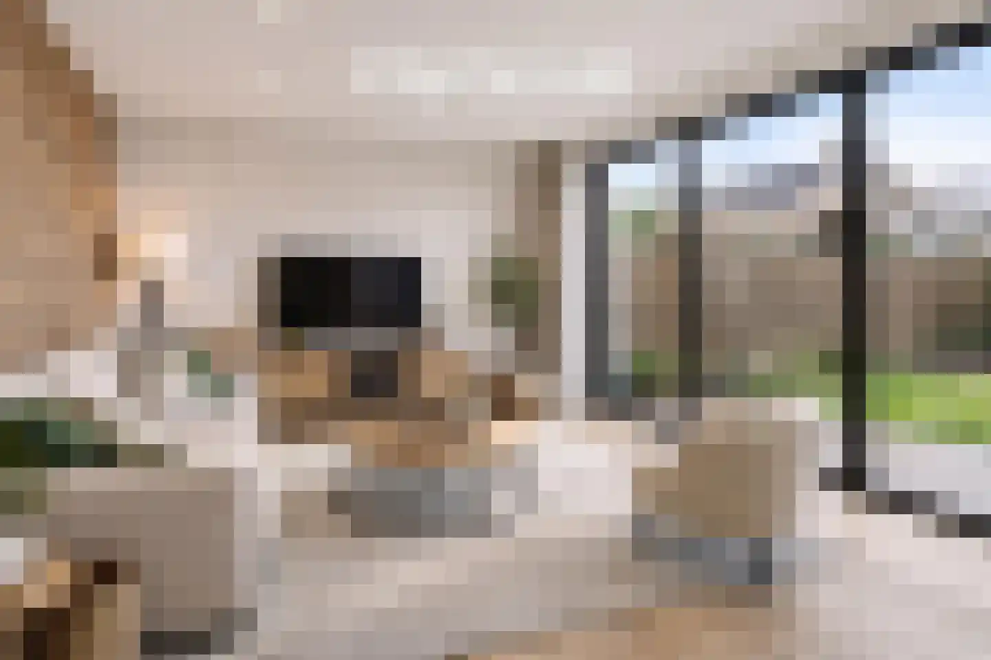 Fuut 19 Hoogvliet Rotterdam thumbnail 8