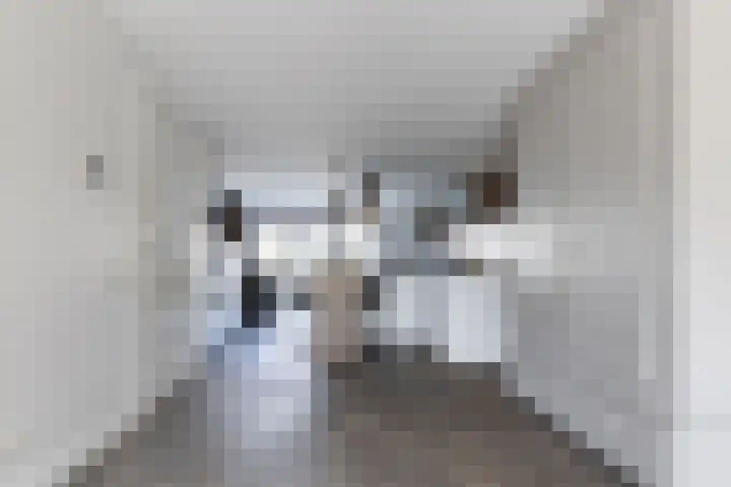 Fuut 20 Grootebroek thumbnail 14