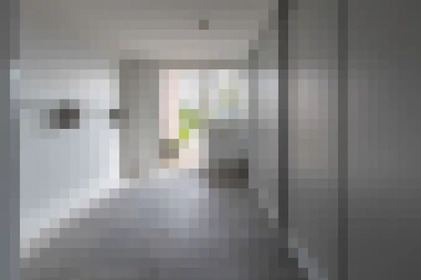 Fuut 20 Grootebroek thumbnail 28