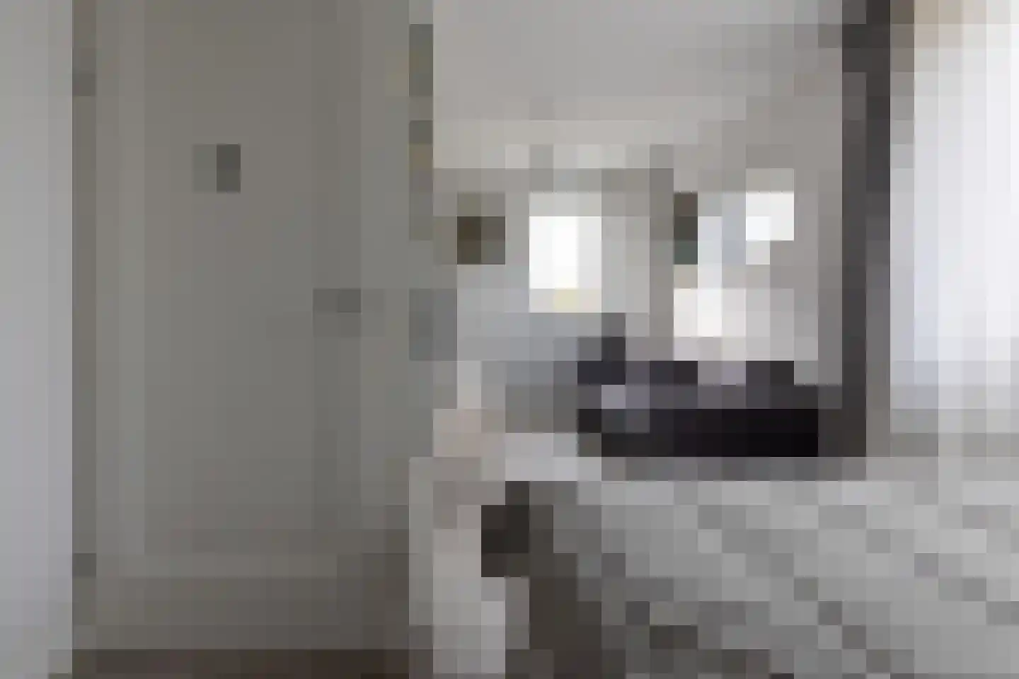 Fuut 20 Grootebroek thumbnail 33