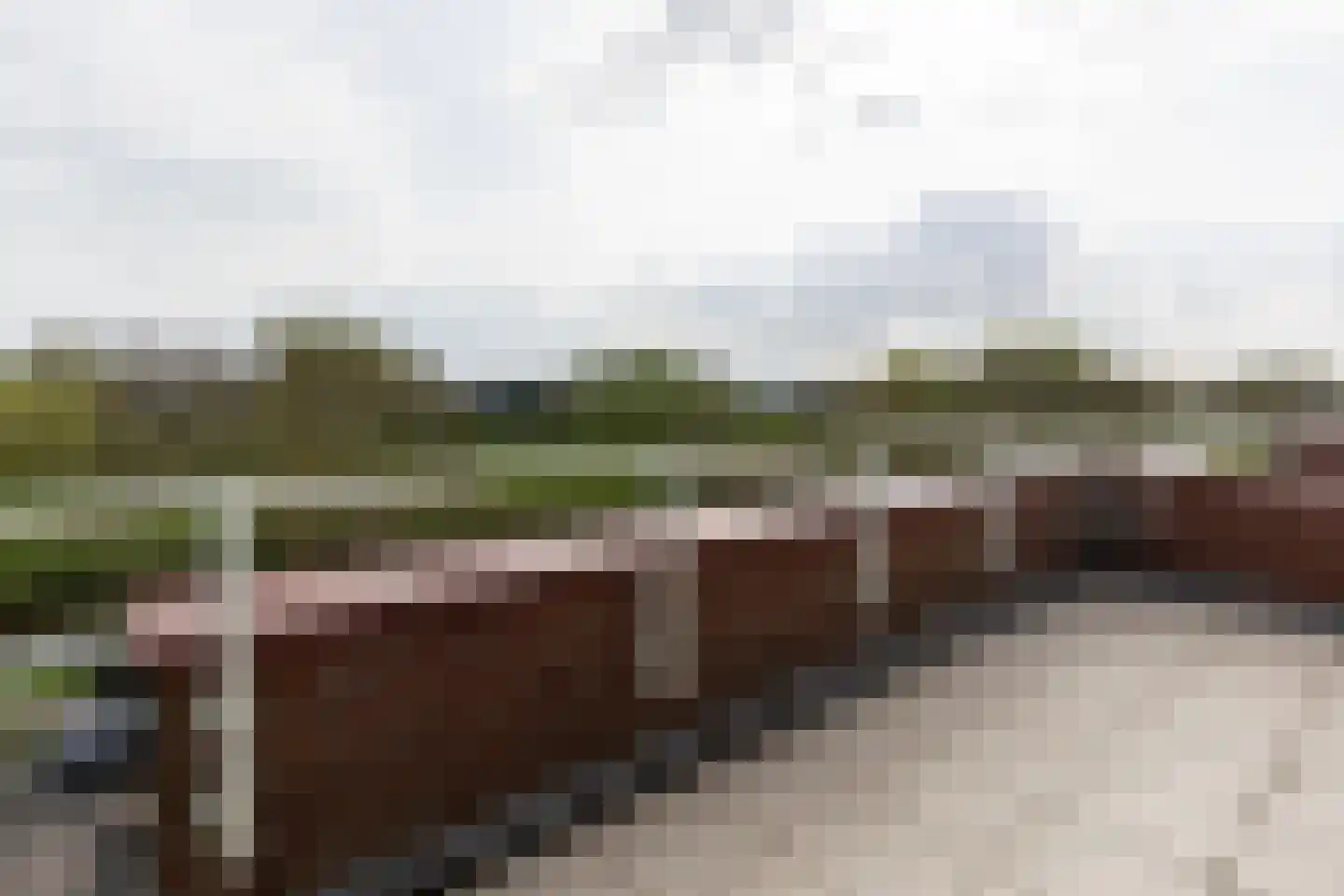 Fuut 20 Grootebroek thumbnail 48