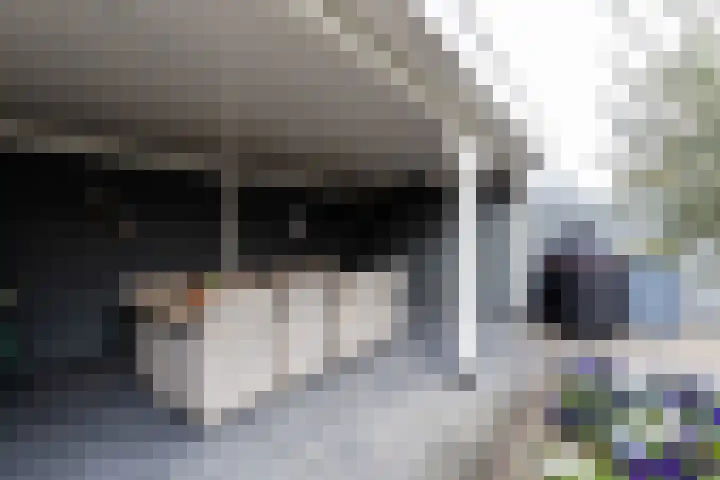 Fuut 20 Grootebroek thumbnail 56