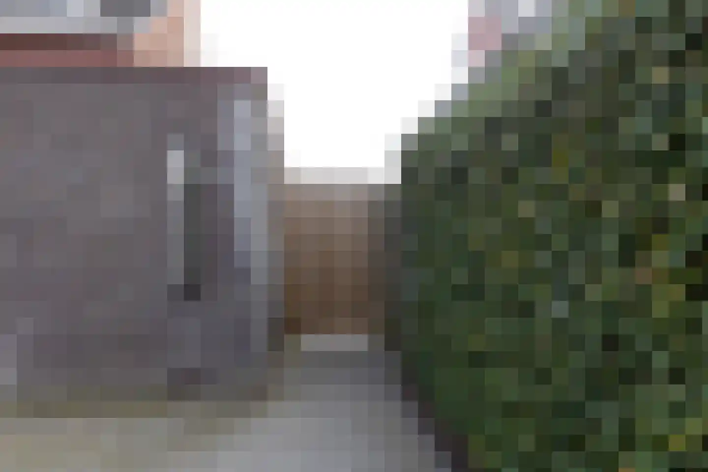 Fuut 20 Grootebroek thumbnail 59
