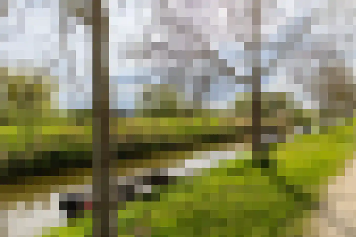Fuut 20 Grootebroek thumbnail 66