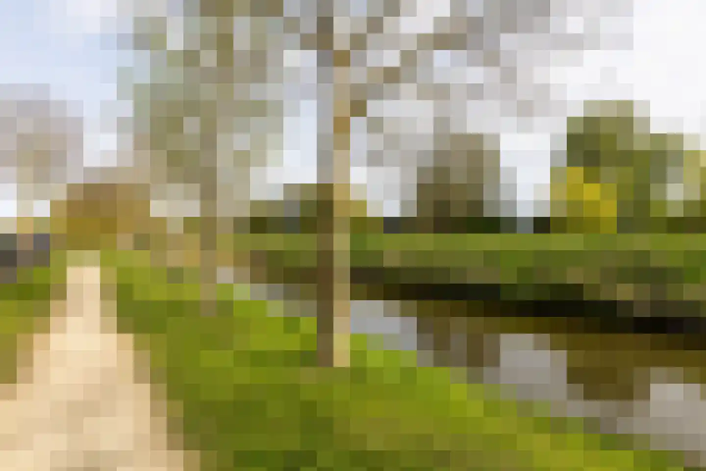 Fuut 20 Grootebroek thumbnail 67
