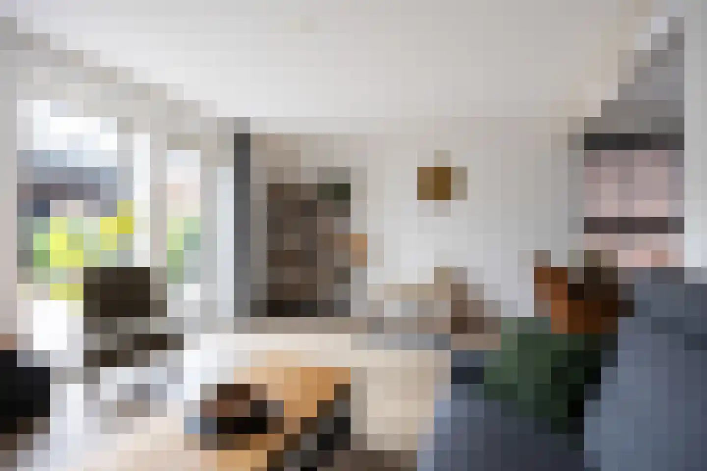 Fuut 25 Bedum thumbnail 10