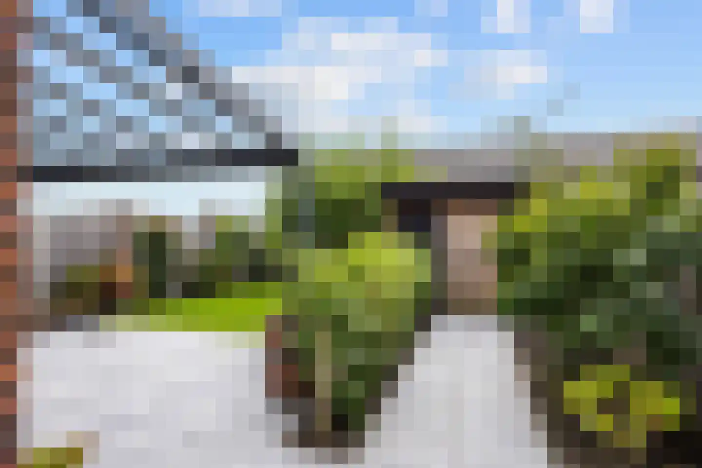 Fuut 25 Bedum thumbnail 25
