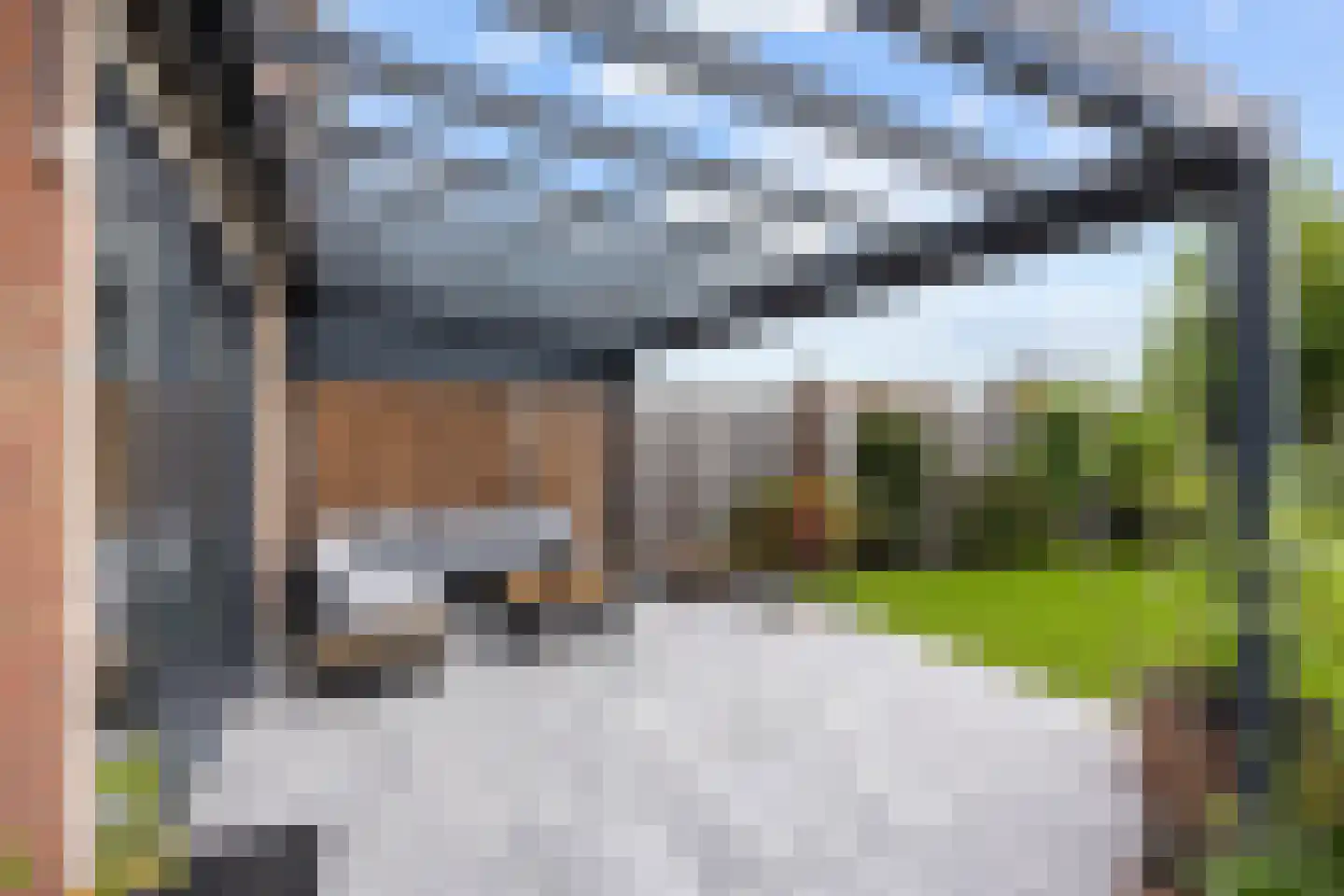 Fuut 25 Bedum thumbnail 26